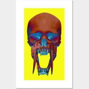 Sabre toothed man skull Posters and Art